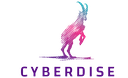 Cyberdise